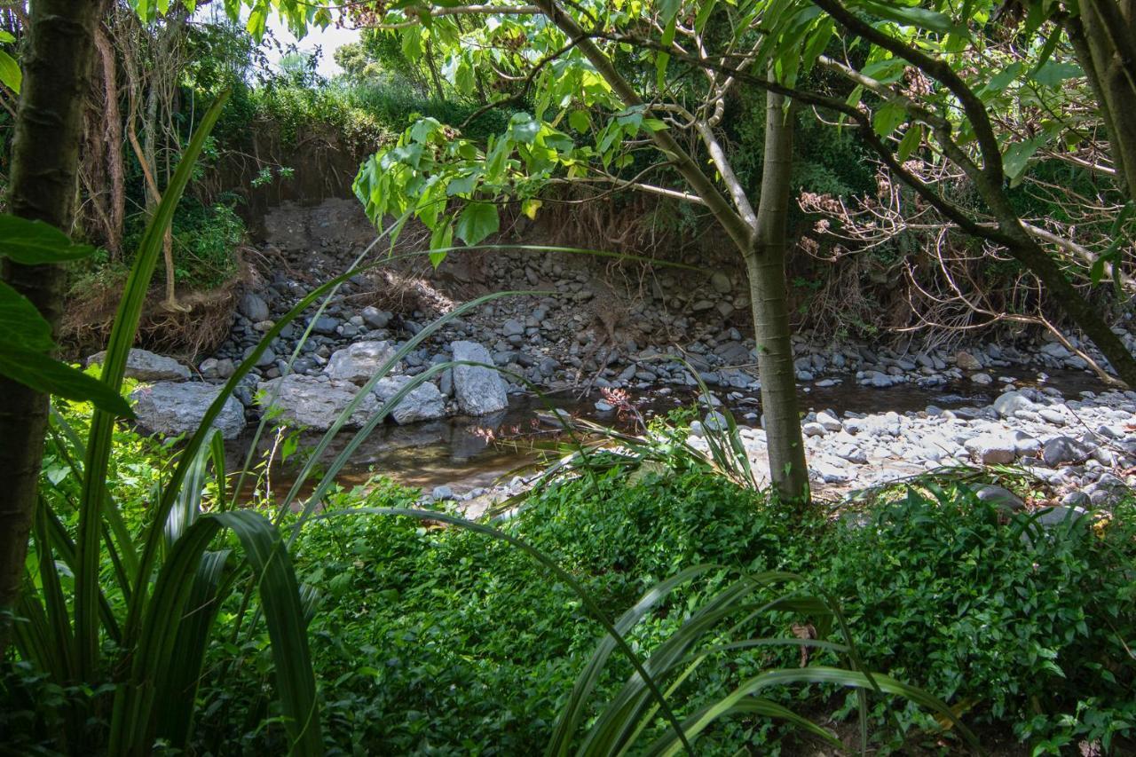 Chalet Karaka Takaka Ngoại thất bức ảnh
